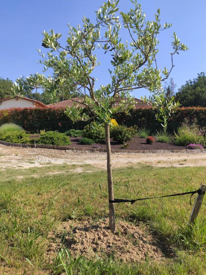 L'Ansolane Villa Fuveau Ngoại thất bức ảnh